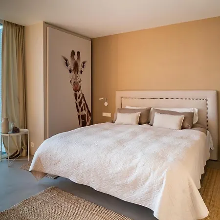 Olive * Costa Adeje (Tenerife)