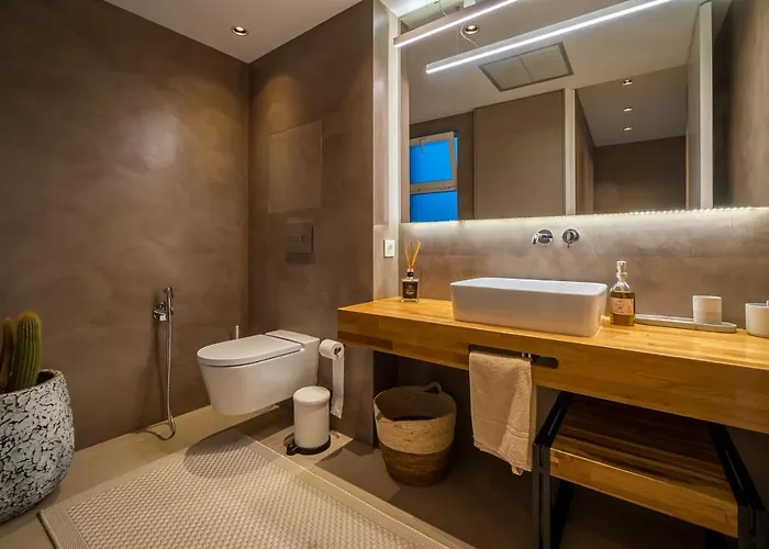 Olive 别墅 阿德耶