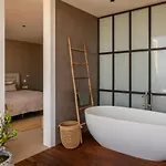 Olive Costa Adeje (Tenerife)